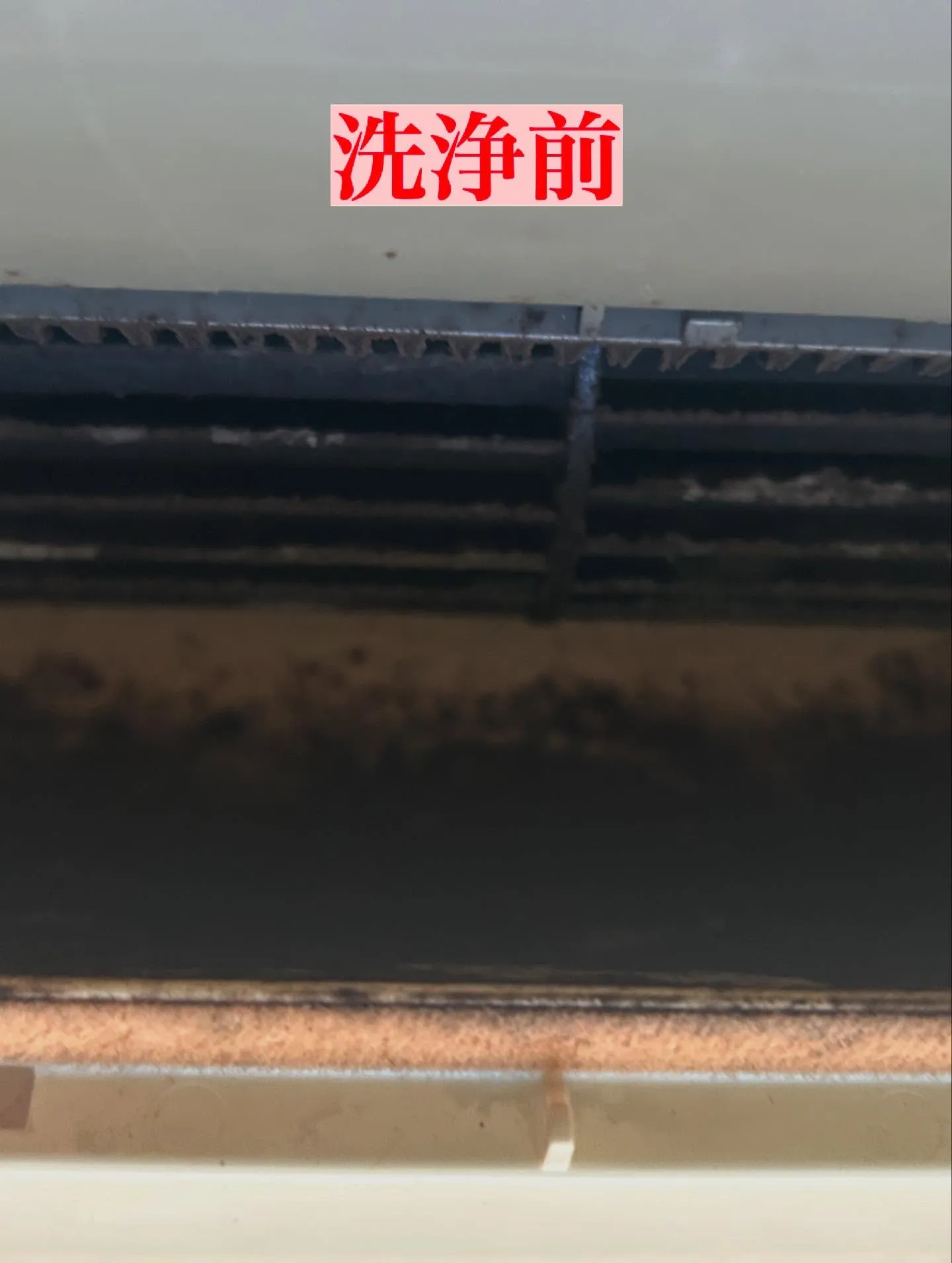 こんばんは、空間美人 株式会社です。